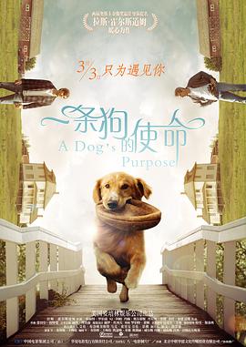欧美夫妻性生活视频